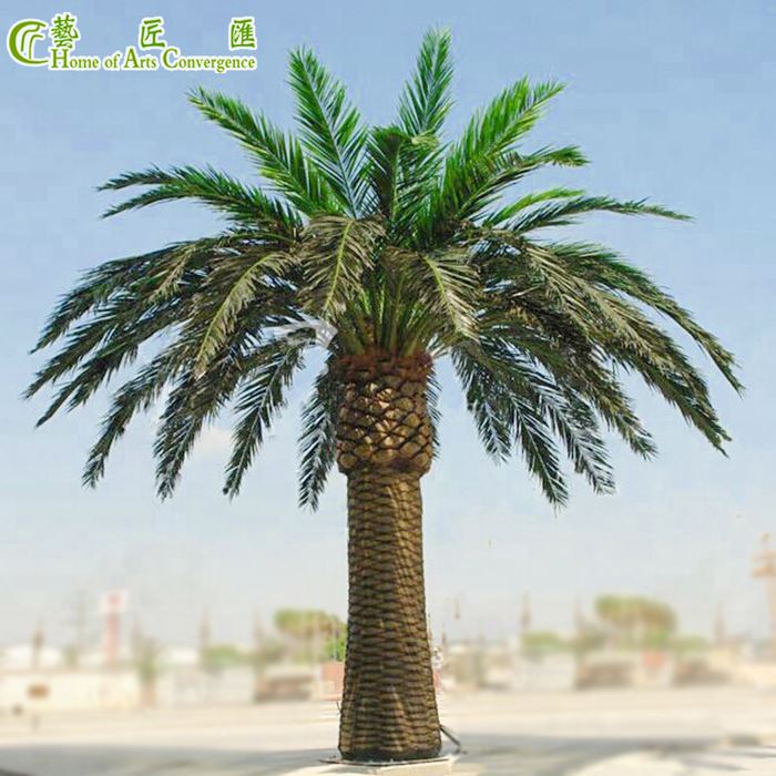 Large Palm Trees For Sale Large Palm Trees For Sale