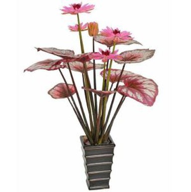 Sztuczne Lotus doniczkowa roślina