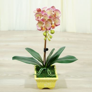 5 głów Różowe realistyczne motylkowe orchidee Indoor Elegant Layout