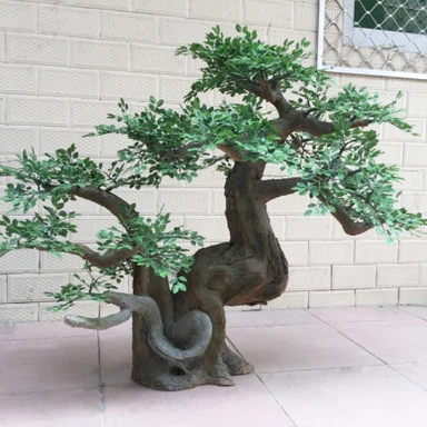 Przyjazna dla środowiska sosna wewnętrzna Bonsai