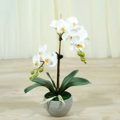 Białe storczyki sztuczne Phalaenopsis Piękny prezent Sprzedaż hurtowa